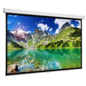 Моторизированный экран Projecta Elpro Concept 216x340 (10101543)