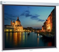 Екран Projecta ProScreen 179x280 см, 125", MW (10201069)